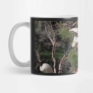 Flight's End: Australian White Ibis, South Australia Mug